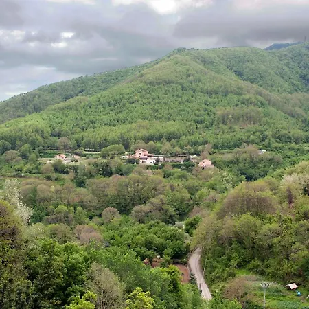 Le Bucoliche Bed & Breakfast *